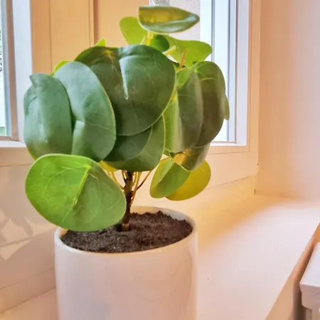 La Verte - Chic Et Moderne - Calme - Fibre - Relax Apartamento *